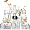 【Mediterranean Vase】16-piece set (transparent)