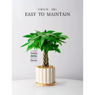 �lؔ��С�����҃�������ֲؔ���k����ǰ̨�[���ļ�����Gֲ