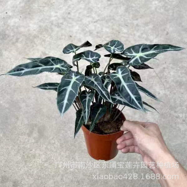 QQ图片20230530222513