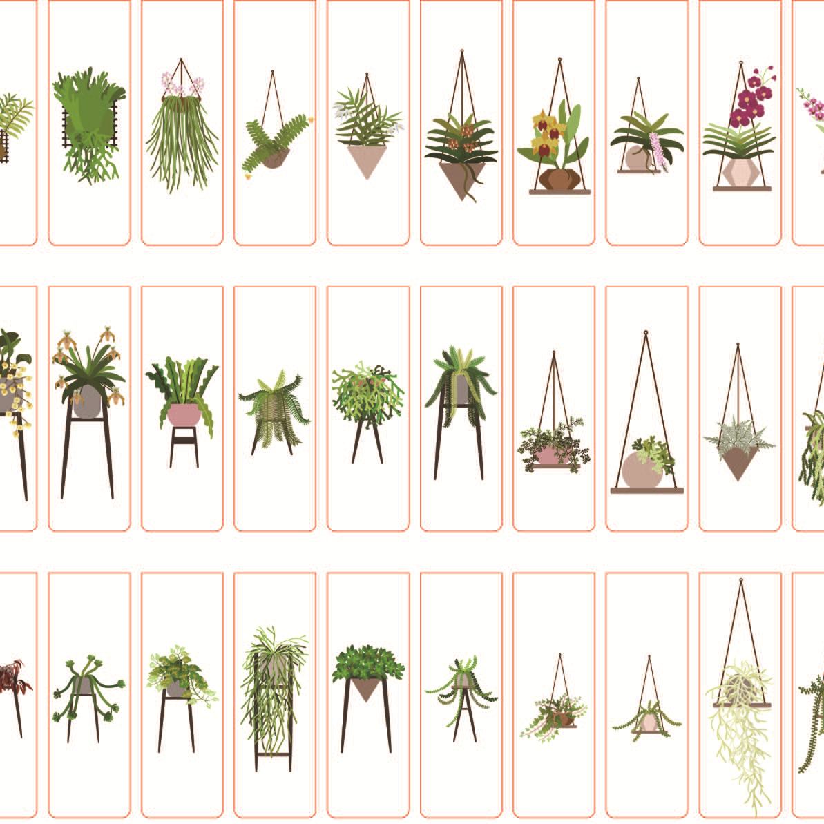 吊盆植物 设计20210306_cr