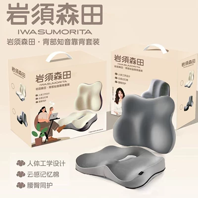 Pillow for Seat Backrest, Waist support - backrest-and-seat-cushion-set-in-gray-new-product-launch