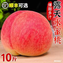 FҰ]ˮӴܛë¶ժˮˮr10