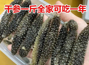 辽参级印尼刺参黑刺参参非孕妇秃野生海参干货纯淡干海参-阿里巴巴