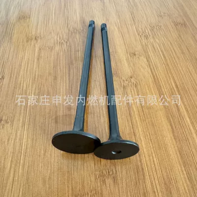 E9149001215 and exhaust valve – Valves and components