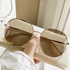 Metallic Brown Nylon Sunglasses for Women, High-End Style, Large Frames, Suitable for Large Faces, Slimming, Vacation, Sun Protection, Fashionable Sunglasses, Same as Influencers' Choices