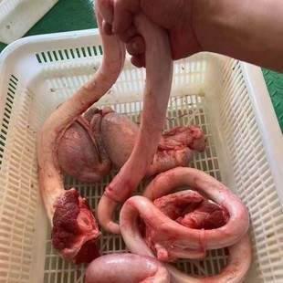 ţ�ތ����rȫ��ţ��ţ��ţ������ֻ�F������Ҝ������B��ʳƷ����