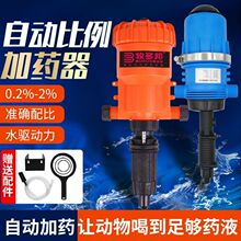 șԄșCͶșԄӱBֳșbüș