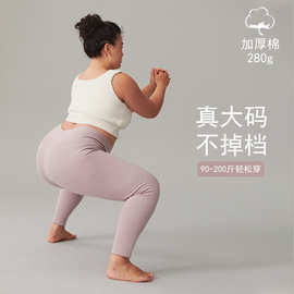 纯棉女士高腰秋裤加厚棉毛裤打底裤纯色修身弹力保暖裤内穿打底冬