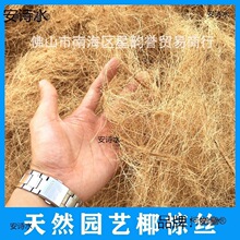 海南防虫面盆盆栽全国艺用椰铺面装饰植物天然椰壳棕丝填充麦太保