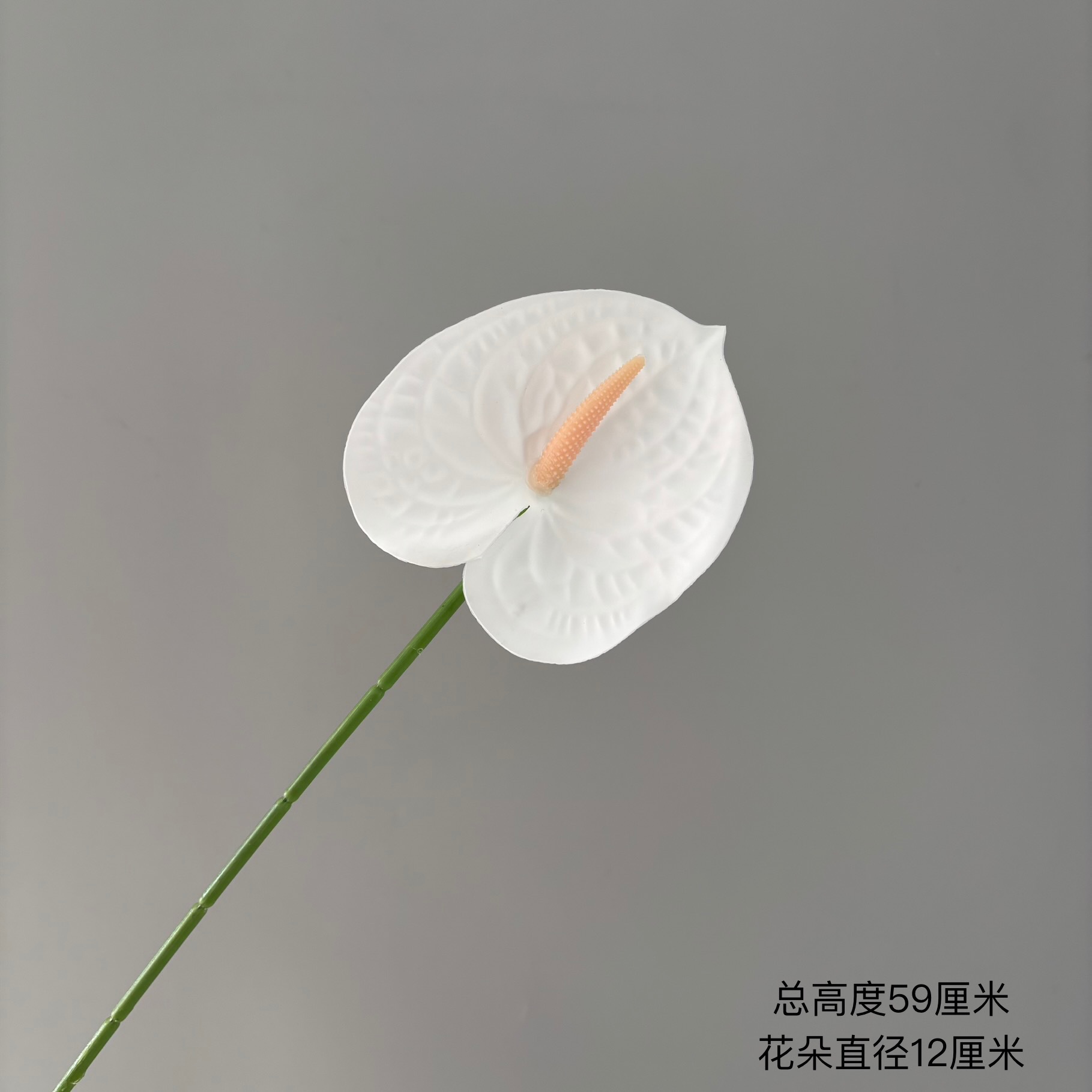 하얀색