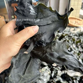 水产干货类;鱼类;鲜活水产