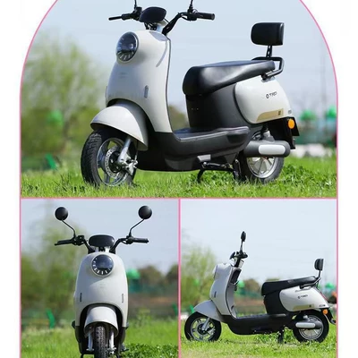 Eyelash Turtle Electric Motorcycle 60V Elektrikli motosikletlər