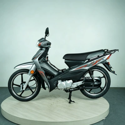 Suitable for Urban and Rural Travel, Motosikletlər