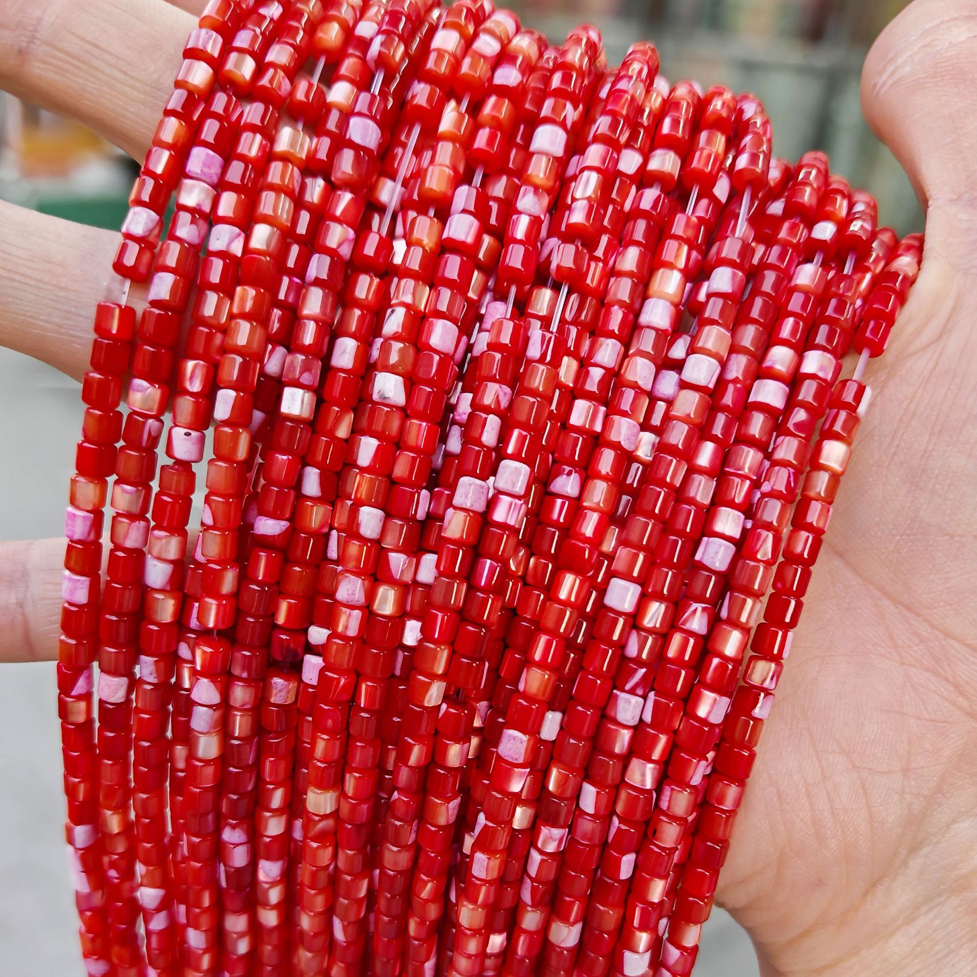 Caracol de herradura-rojo