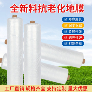 Plastic Film Agricultural White Film Greenhouse Film Insulation Moisturizing Orchard Transparent Plastic Film Seed Film Planting Amoy Vegetables
