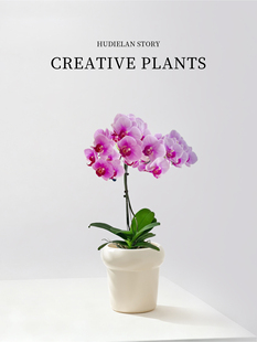 �����m�������Ԏ���������ֲ���k���҃������m���ļ������m�����l