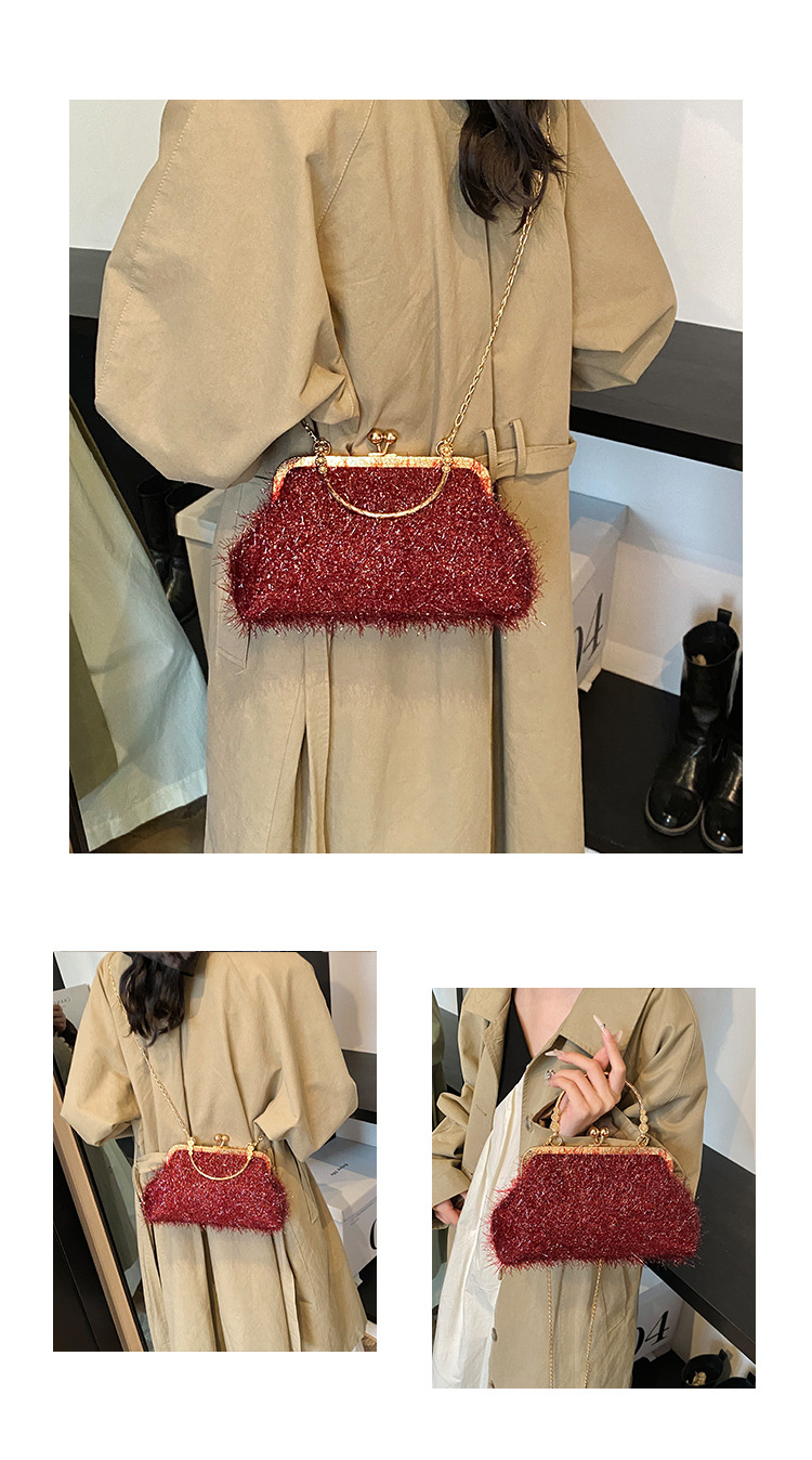 A trendy and fashionable women's 2024 autumn new chain crossbody bag, a Korean-style hand-held shell bag undefined