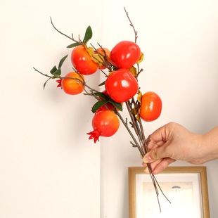 ����{������֦ʯ��֦�Ҿ��b�ֲ���b��Ә�֦��ĭ�����F؛���l