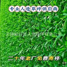 ʮƷ hʲ ƺř ƺW ƺ ٲƤ