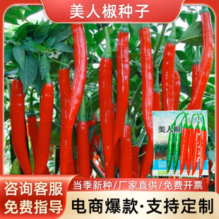 ���˽��N��ժ�����t�����N���������ļ����Դ��t�⽷�˷N��