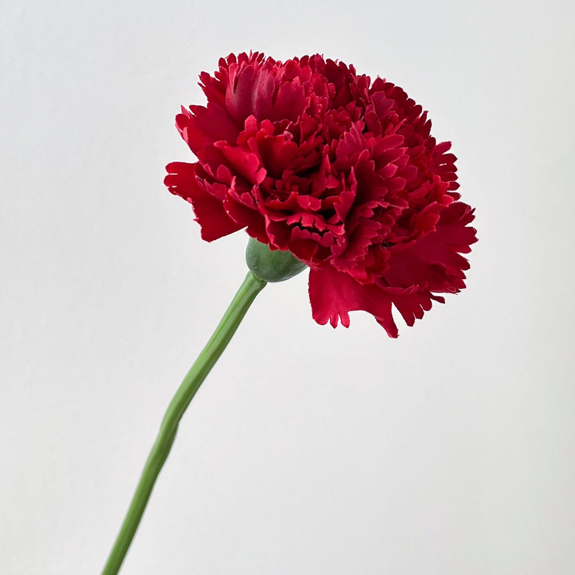 1 ramo de cravo vermelho