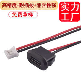TYPE-C 2P防水IPX5座子注胶直压式带PH2.0端子线