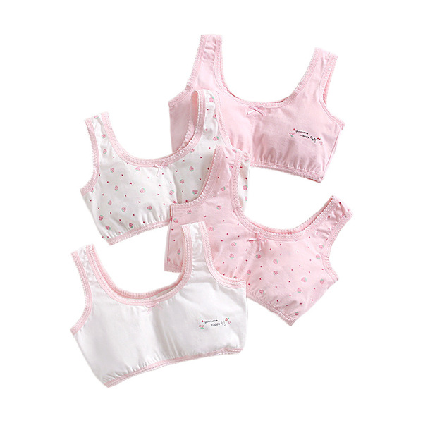 Underwear for students