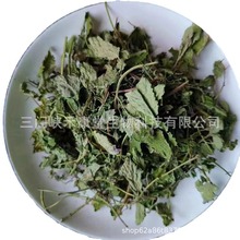 包邮新货柠檬香蜂草蜜蜂花提纯露蜜蜂花芳疗原料lemon balm