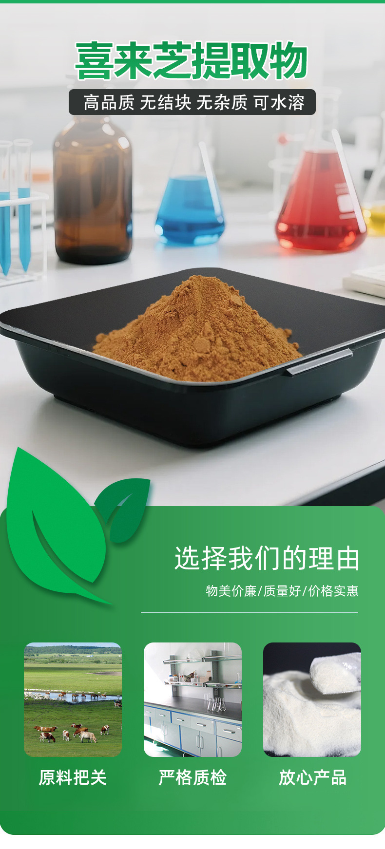 详情页_01喜来芝提取物