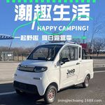 电动四轮皮卡车女士新能源小型家用代步车成人电瓶车油电两用斗车