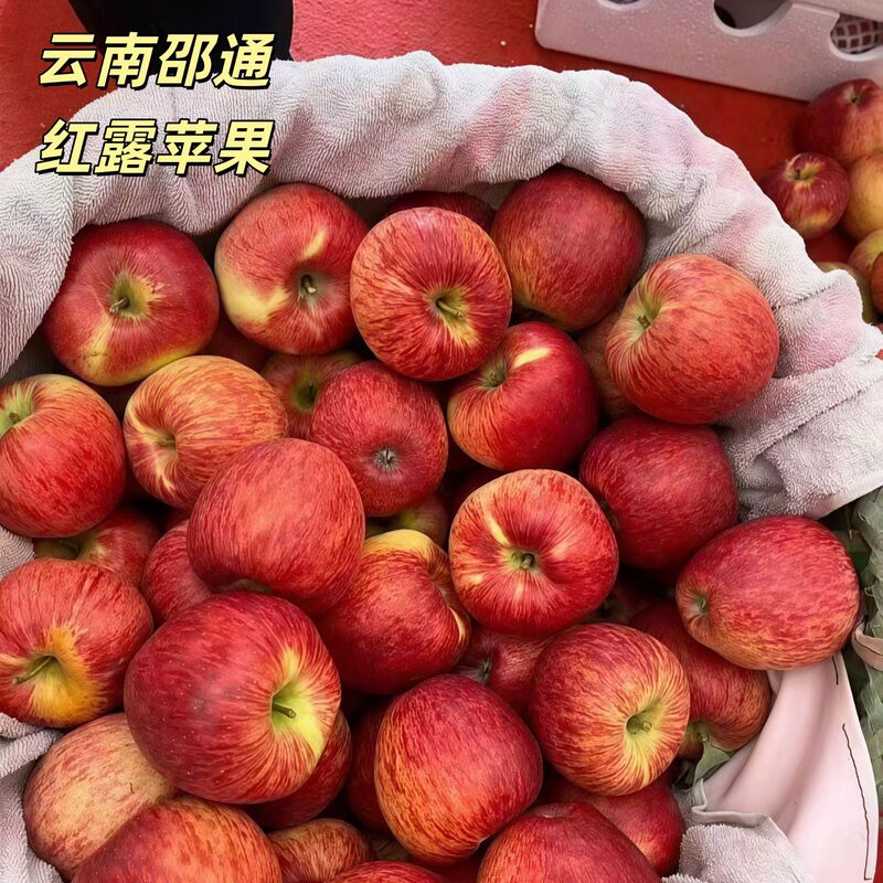 Yunnan Zhaotong Red Dew Apples, Sugar Heart Apples, Fresh Red Dew Fruits, Seasonal Red Fuji, Crispy and Sweet, Whole Box Packaging Yunnan Zhaotong Red Dew Apples, Sugar Heart Apples, Fresh Red Dew Fruits, Seasonal Red Fuji, Crispy and Sweet, Whole Box Packaging