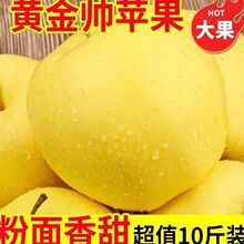 �SԪ���S�����O���|�������O���㽶�O���ʹ��O�����r��ժ�������