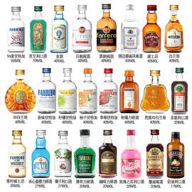 便利店调酒白兰地威士忌伏特加基酒小酒版洋酒调酒套装酒组合批发