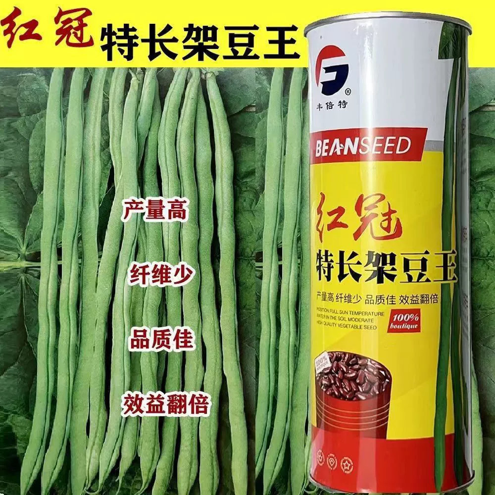 Удлиненное Семя фасоли без выхода глютена Высокая зрелая зеленая полоса Круглые длинные семена фасоли Полевое семя Тепло-и холодостойкость