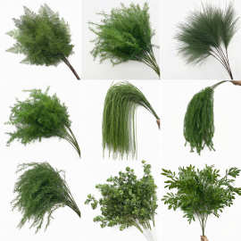 绿色系婚庆仿真花场景布置仿真绿植千层金龙须草芦荀草森系仿真花