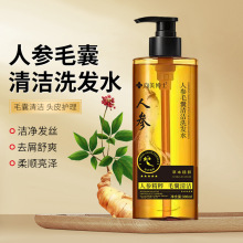 向美博士人参洗发水清洁毛囊蓬松去屑控油草本植萃精华洗发露厂家