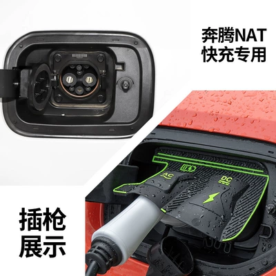 Dust Cover Hidden Charging Gun | Other Automotive Exterior Supplies - pentium-nat-fast-charge