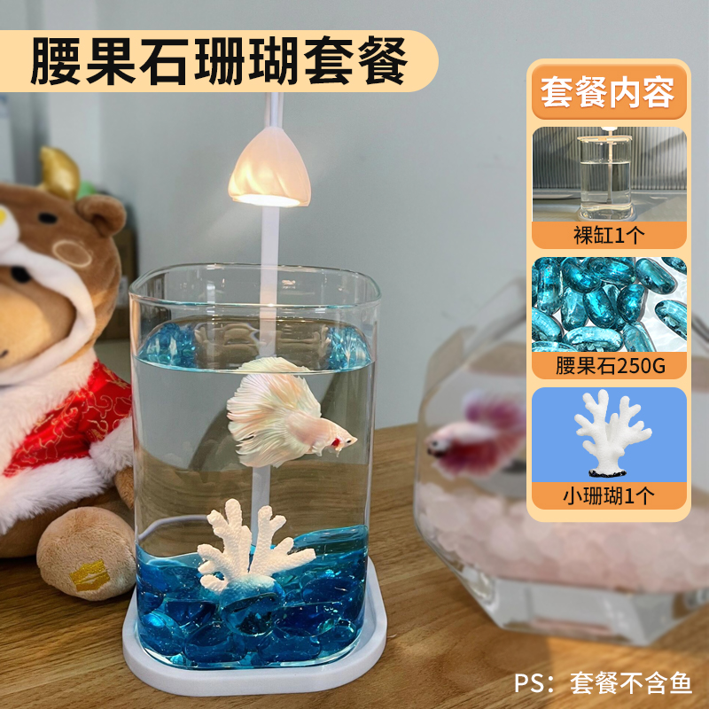 [인터넷 연예인 핫스타일] 캐슈스톤 세트