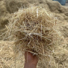 �u�C�µ����ݸɲ݉|�ϼ��Ö|���B�Cĸ�uС���ӌ��ﱣů�݉|