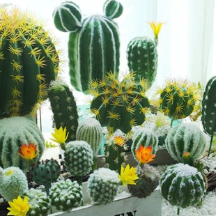 ����������[���b�С���滨�������Ʋ廨�쾰���Ԅ����ĔzӰ����