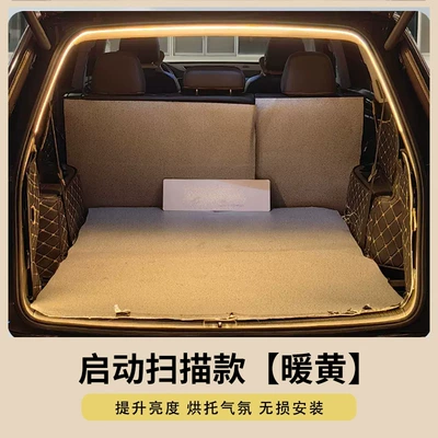 Start Scanning the Universal Car Other lights - start-scan-2m-warm-color-pin-installation