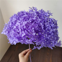 ������������l���U��֧��֧����С�~����ҾӲ廨�b�����ꖻ�