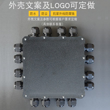 CENEN904防潮接线盒户外可定制室外外壳塑料PC阻燃IP68分线盒防水