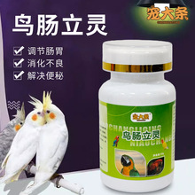 鸟用肠立灵缓解肠胃不适调节肠道菌群改善肠道平衡菌落全平台代发