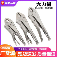 卸売固定クランプ多目的ヘビーデューティ工業用アフターバーナーハンドプライヤークランプツールクイックシール固定クランプ 10