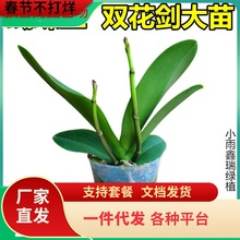 һ�����l�p���������m�����m�����玧�����������ļ��_���҃Ȼ���