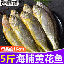 5��С�S���~���r����������uС�S�~�Ǵ��S�~��~���rˮ�a����