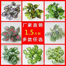 ����ֲ����ϾGֲ�ٻ��ݿ͏d�����҃��T�����оG���bG�}�t��