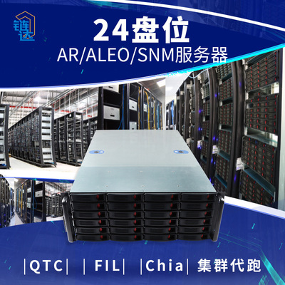Arweave服務器AR/ALEO/SNM/QTC/FIL/CHIA集群代管理分布式雲存儲