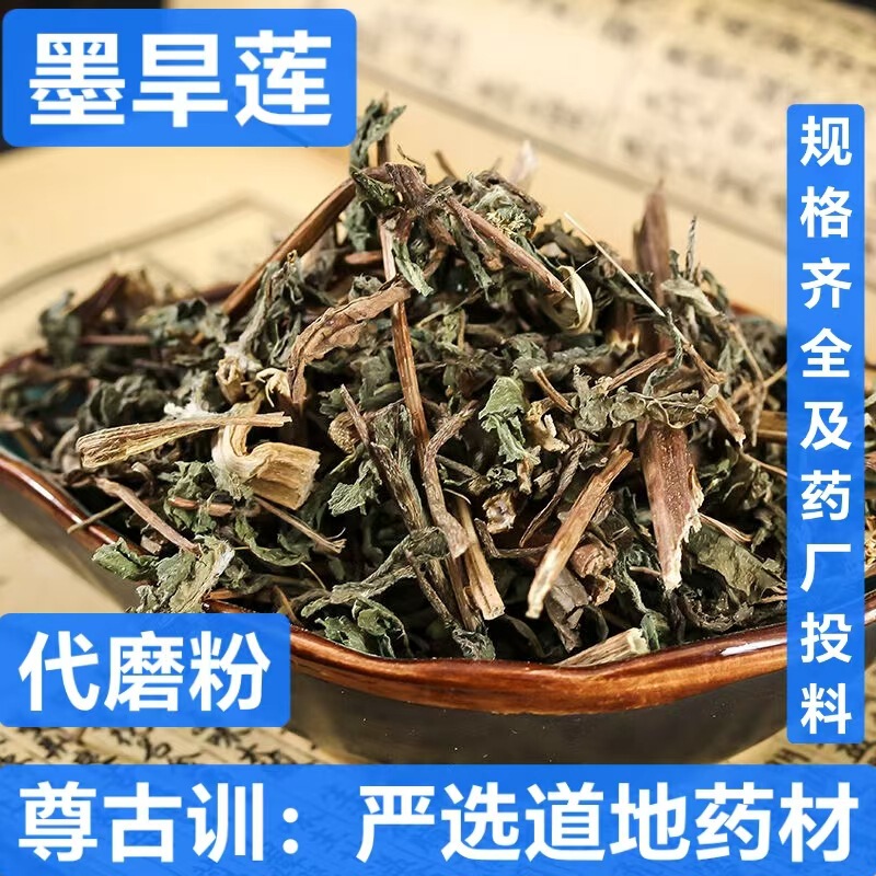 Chinese Herbal Medicine Eclipta Prostrata New Arrival Flakes in Stock All Year Round Powder in Stock Eclipta Prostrata Chinese Herbal Medicine Eclipta Prostrata New Arrival Flakes in Stock All Year Round Powder in Stock Eclipta Prostrata